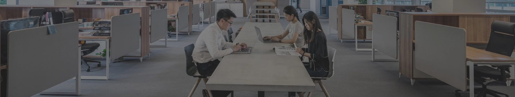 InsightGig Educational Service Platform