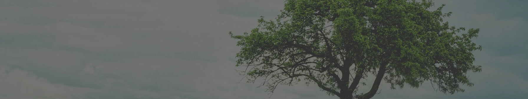 Natuja Health Products Platform