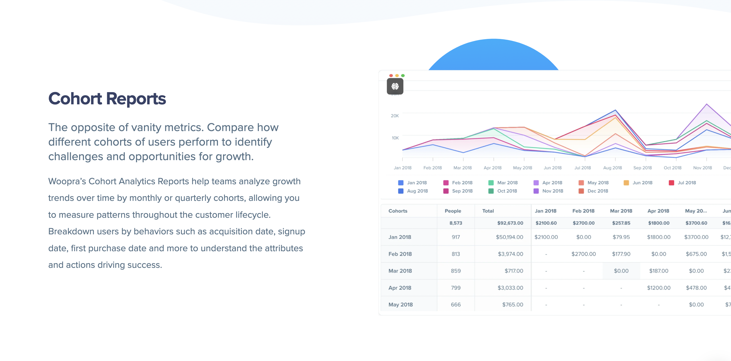 cohort analytics
