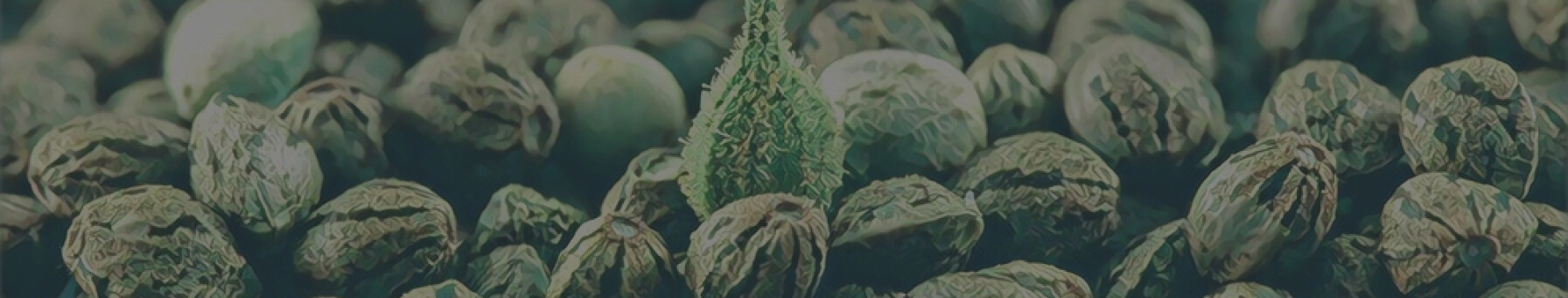 Strainly Health Products E-Commerce Platform