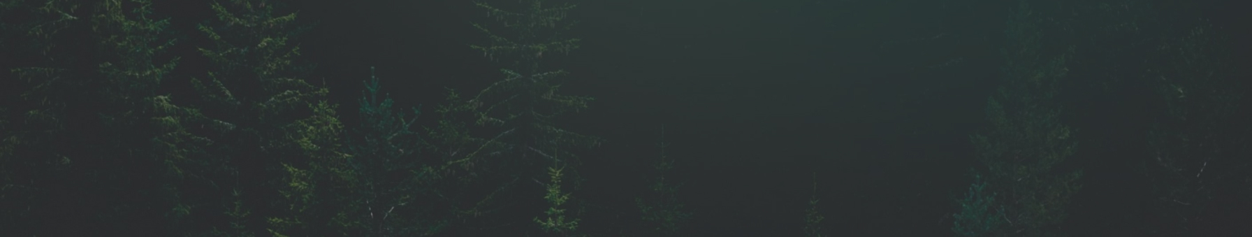 Book Holistic wellness service marketplace