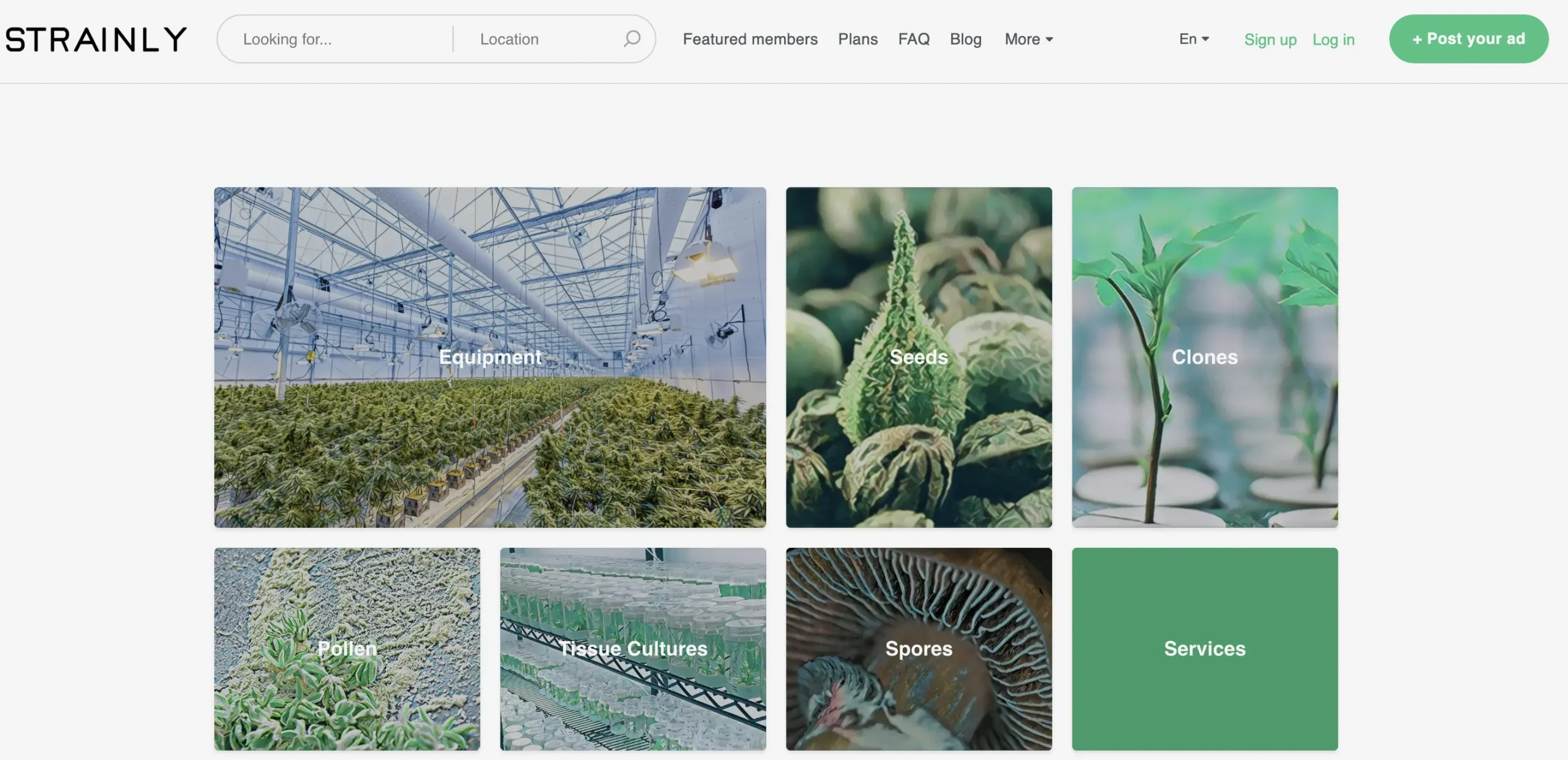 strainly ruby on rails