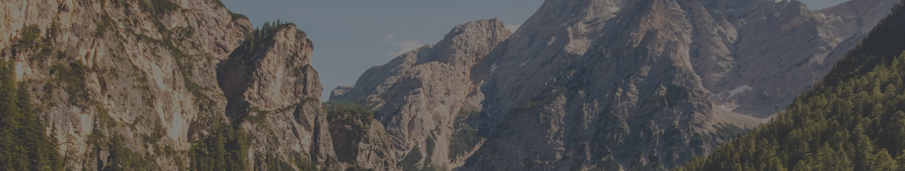 Local Services & Experiences Marketplace