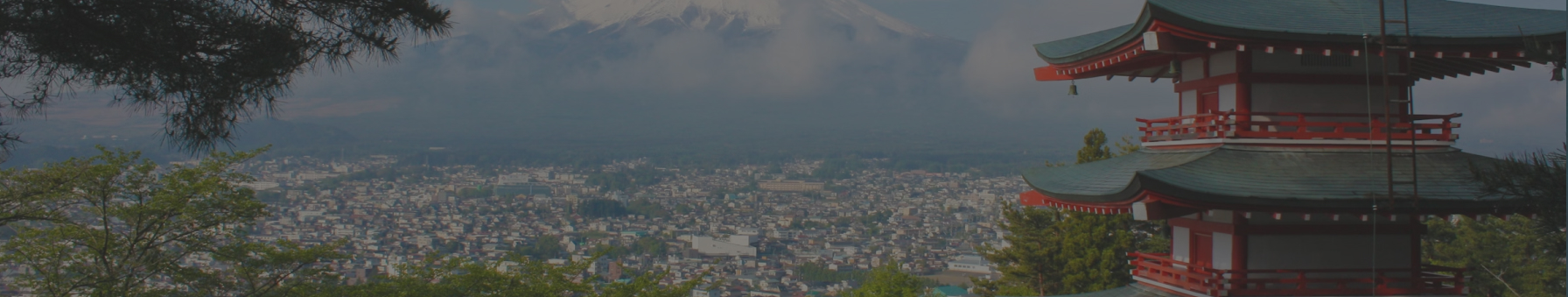 tripjunction travel-experience platform