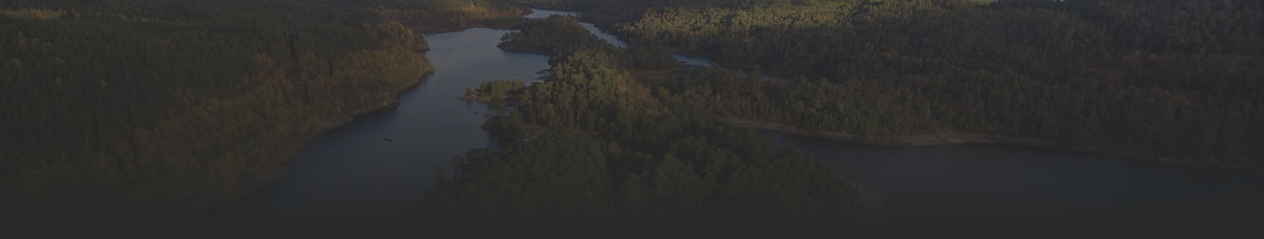 wilder places custom marketplace case study
